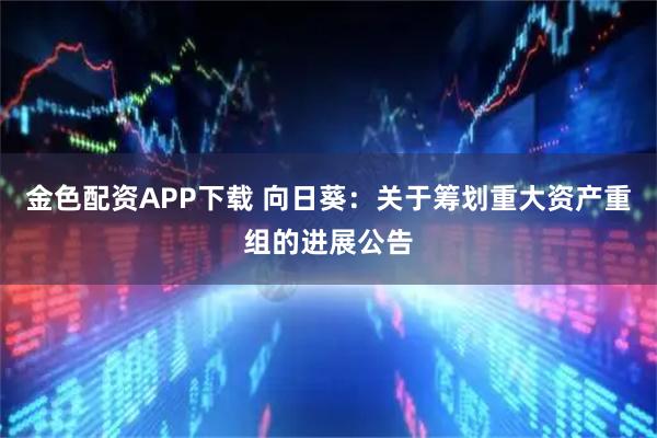 金色配资APP下载 向日葵：关于筹划重大资产重组的进展公告