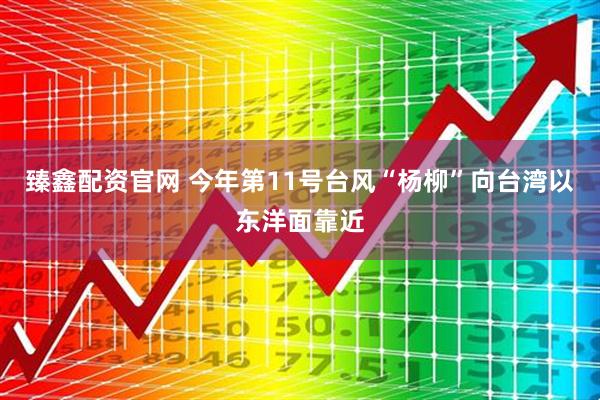 臻鑫配资官网 今年第11号台风“杨柳”向台湾以东洋面靠近